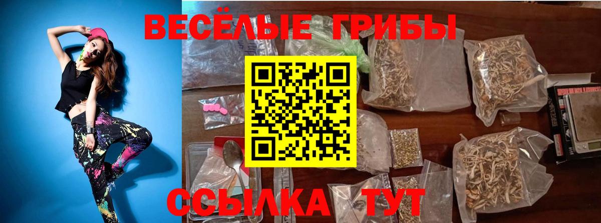 Троицк  Псилоцибиновые грибы Magic Shrooms  Вход с VPN 